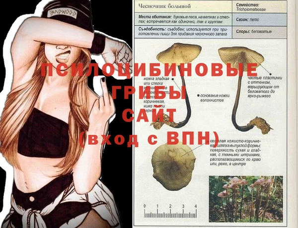 эйфоретик Осинники