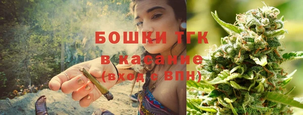 эйфоретик Осинники