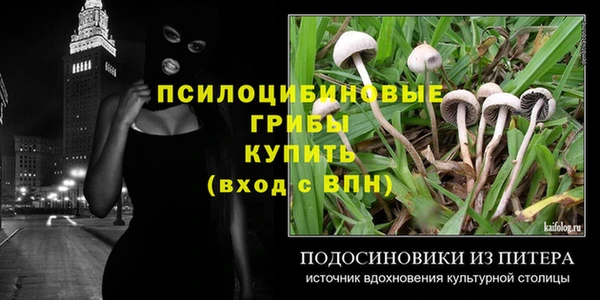 эйфоретик Осинники